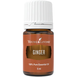 Ginger / Ingwer Ätherisches Öl 5ml