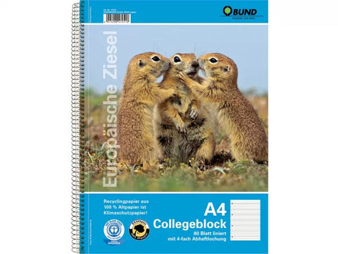 BUND Collegeblock DIN A4, 80 Blatt liniert