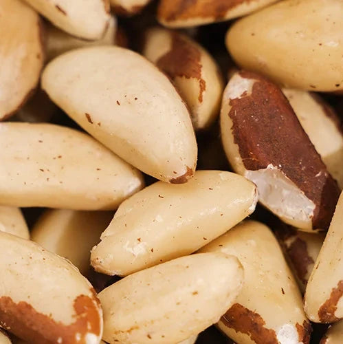 Paranüsse ganz 250g Heimathafen Shop