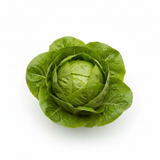 Salat 1 Stk (Kopf)