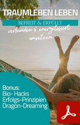 Ratgeber Traumleben leben