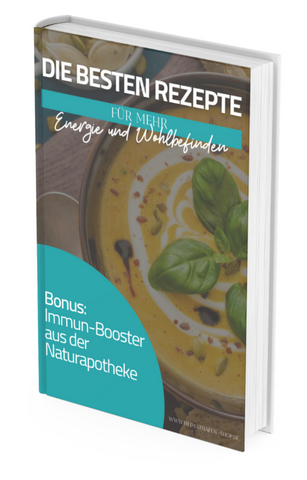 Ratgeber Energie-Rezepte und Immun-Booster aus der Natur