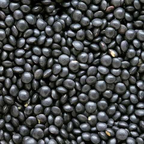 Beluga Linsen 1kg lose schwarz