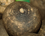 Schwarzer Rettich 250g